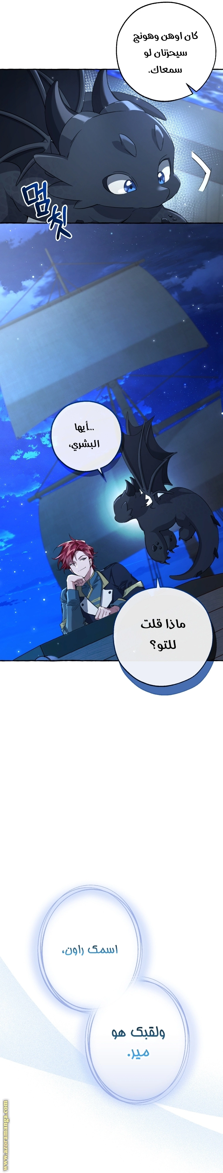 صفحة 38