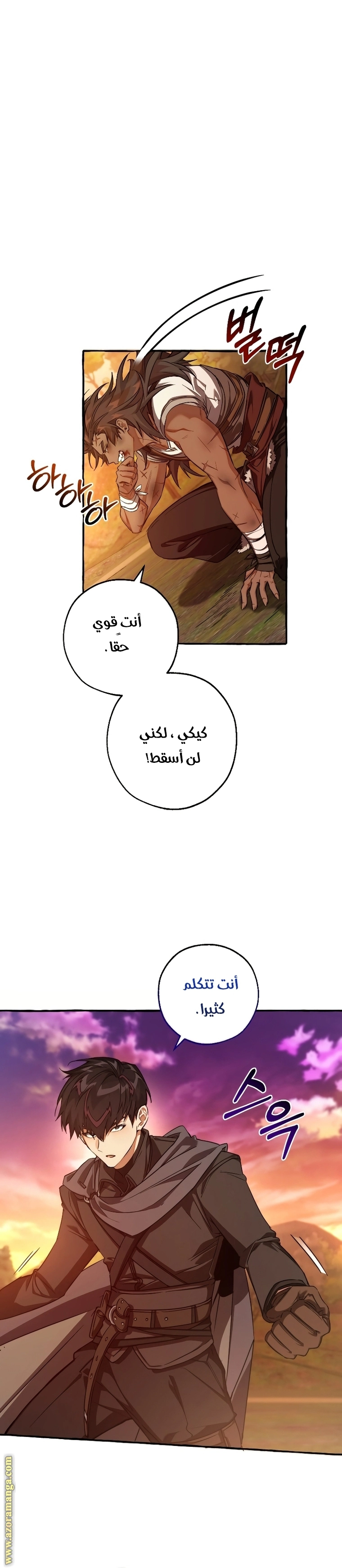 صفحة 17