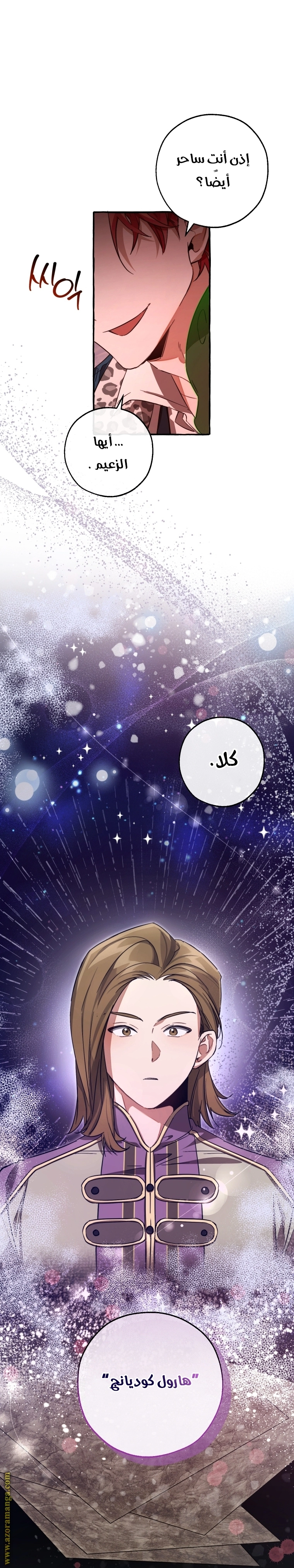 صفحة 27