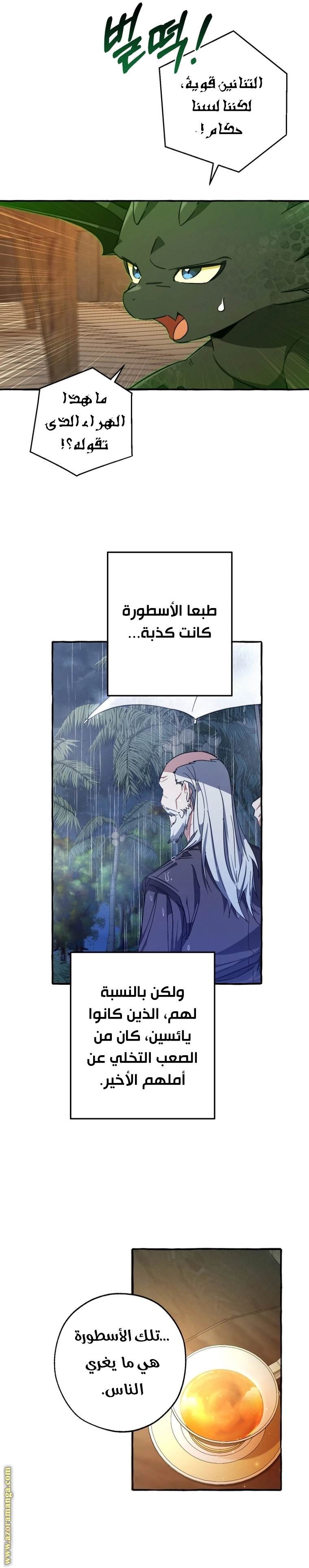 صفحة 13