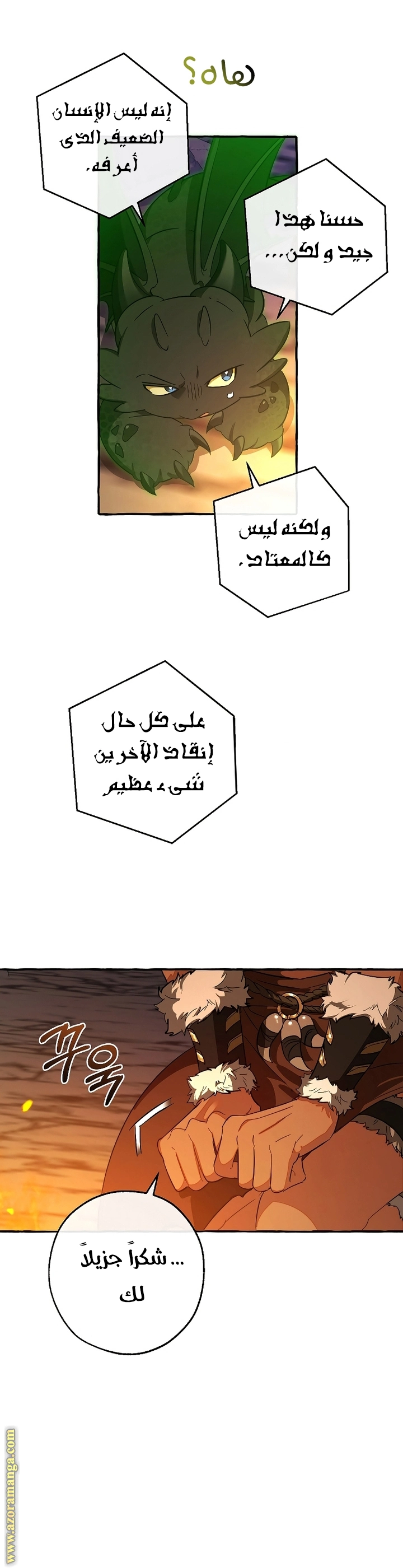 صفحة 13