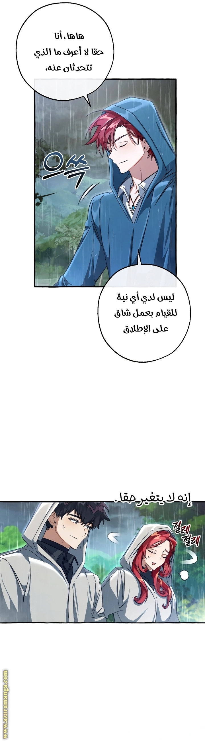 صفحة 13