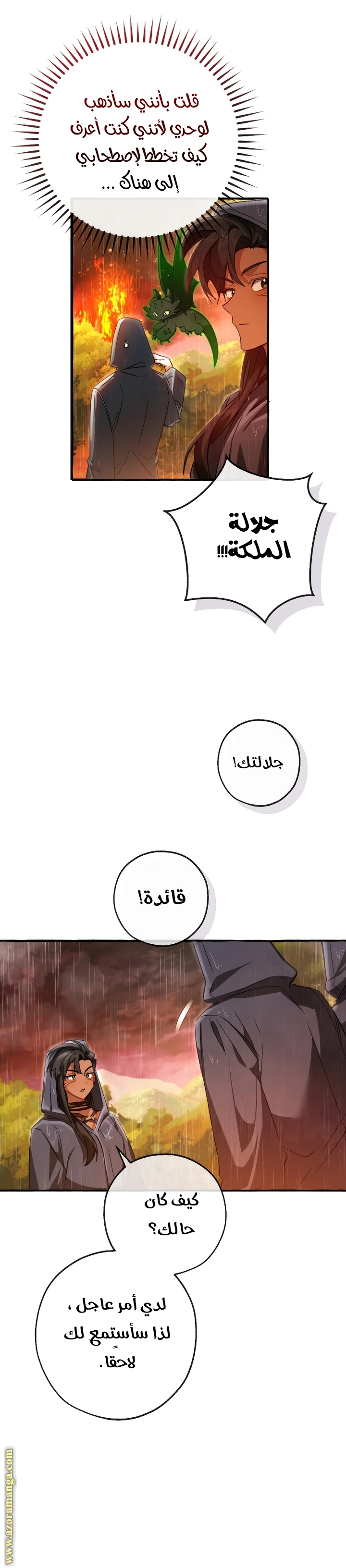 صفحة 15