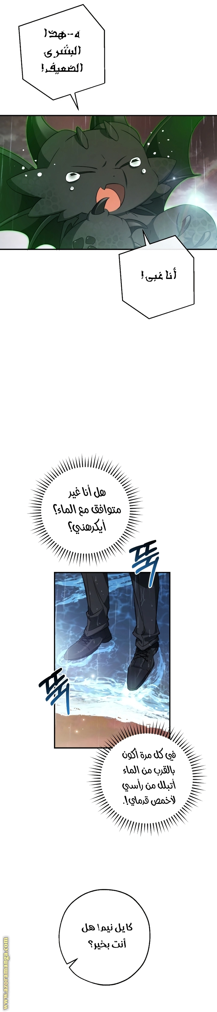 صفحة 19