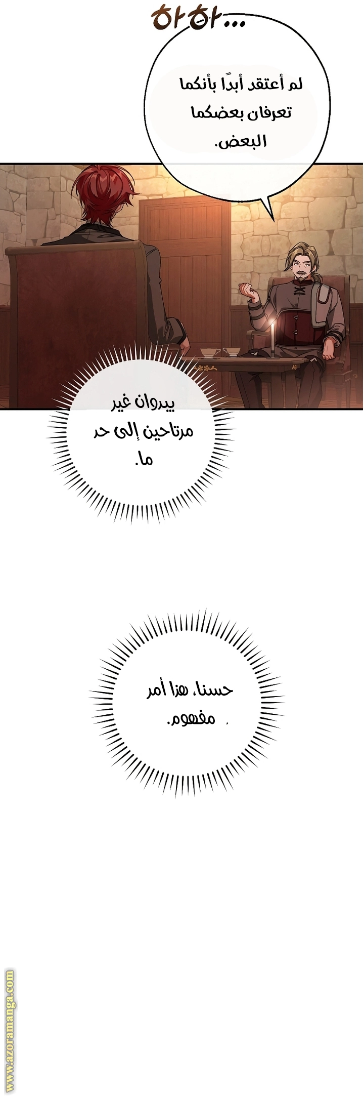 صفحة 13