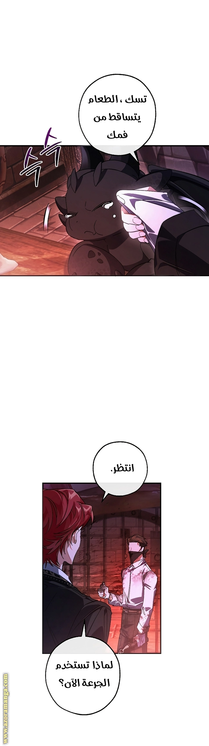 صفحة 13