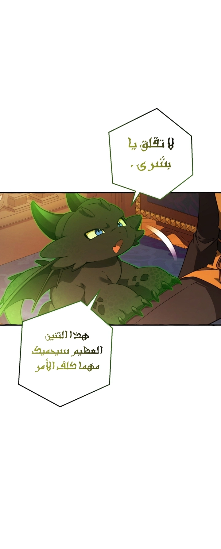 صفحة 14