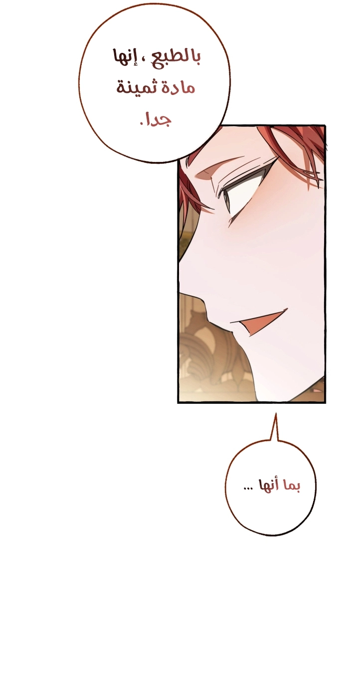 صفحة 17