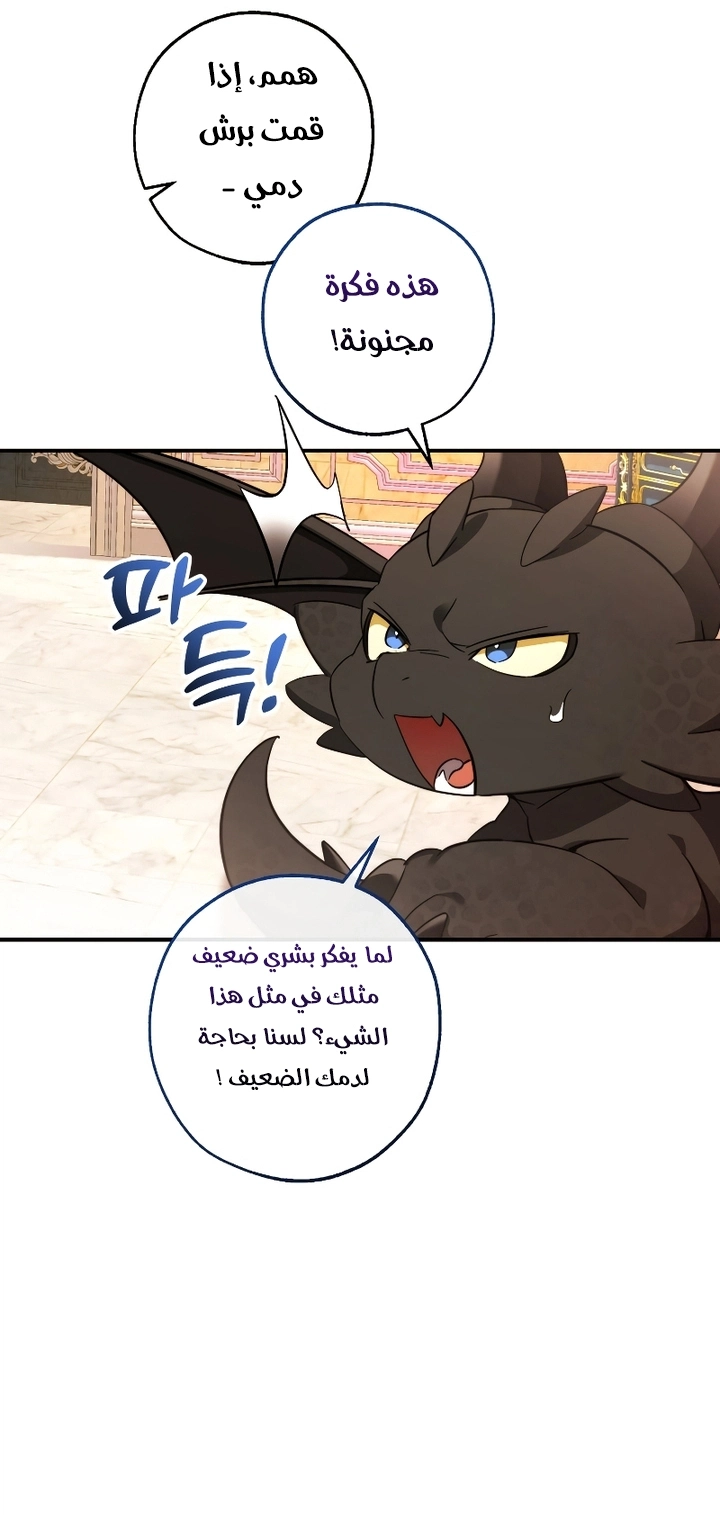 صفحة 35
