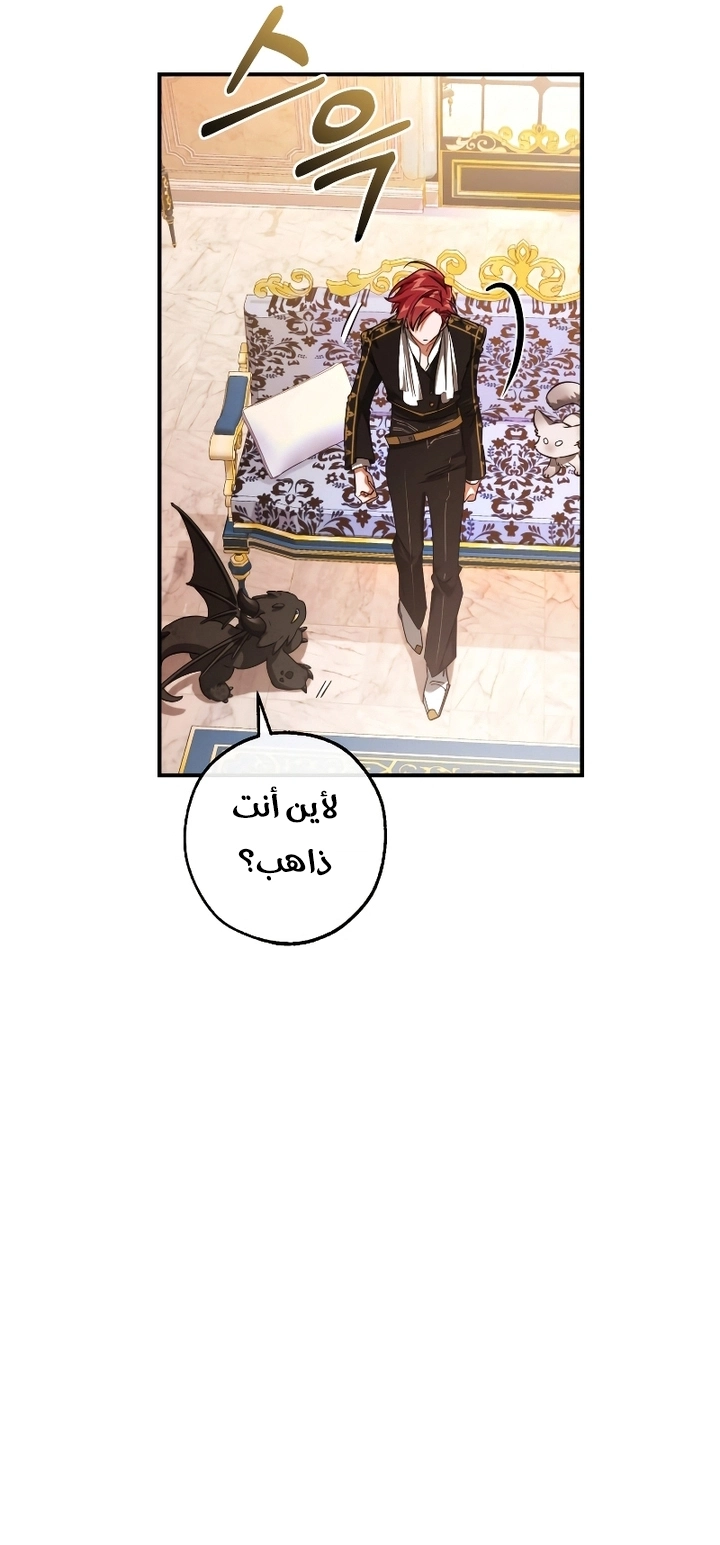 صفحة 41