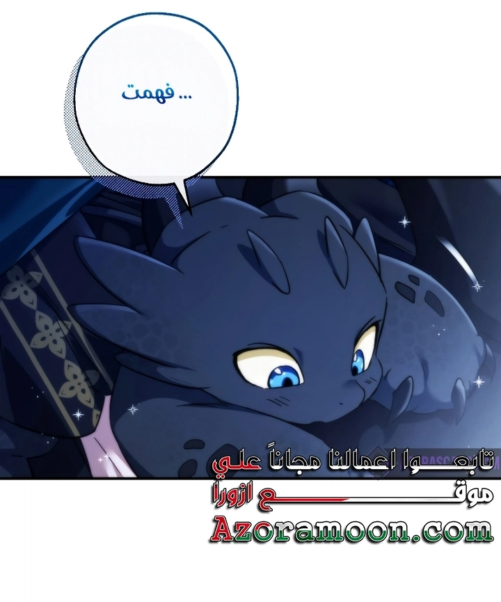 صفحة 11