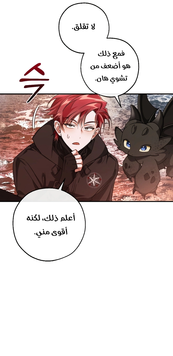 صفحة 19