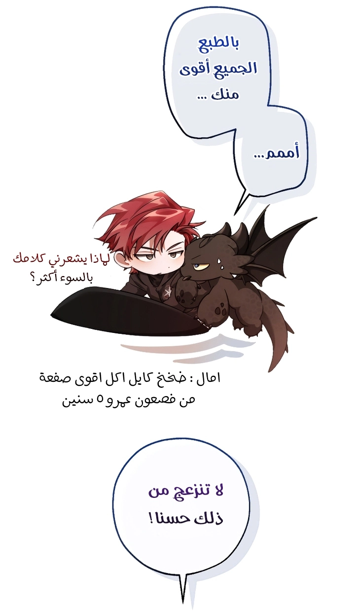 صفحة 20