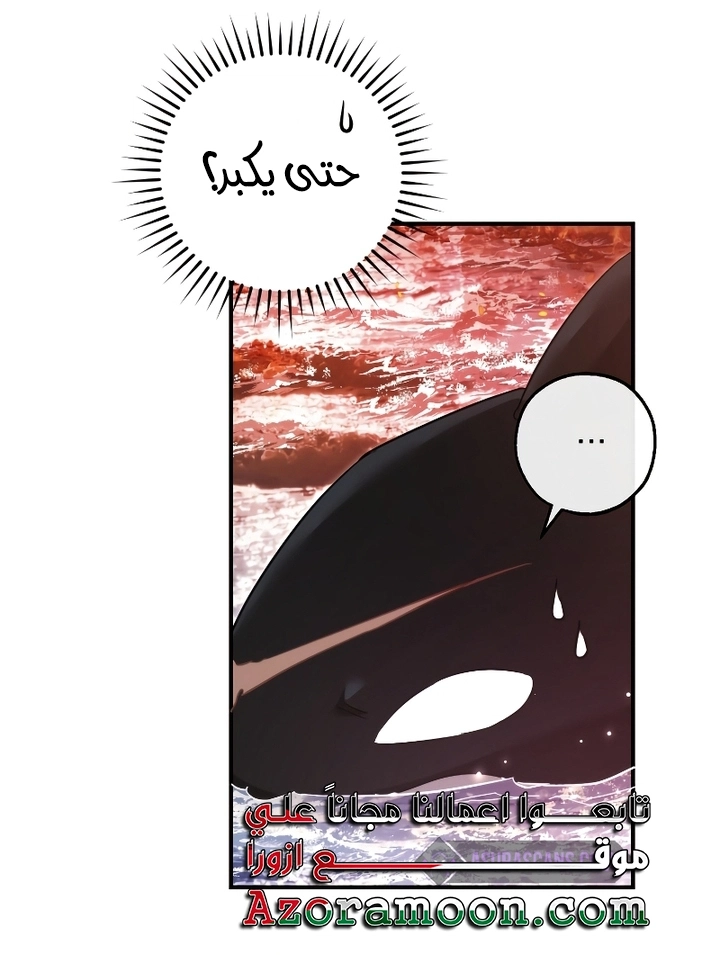 صفحة 48