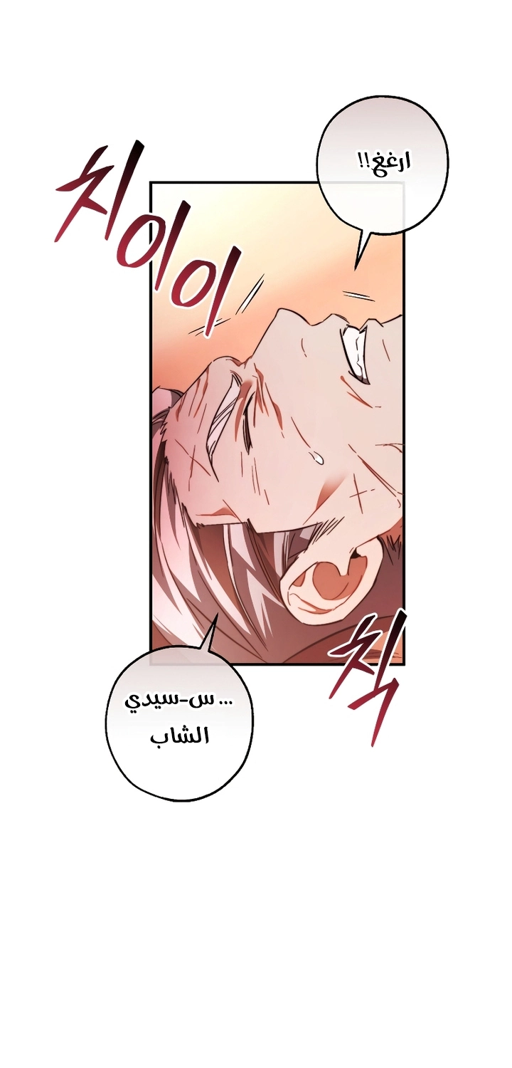 صفحة 61