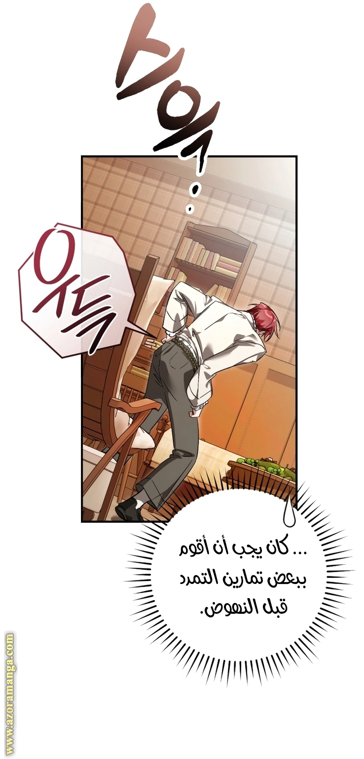 صفحة 17