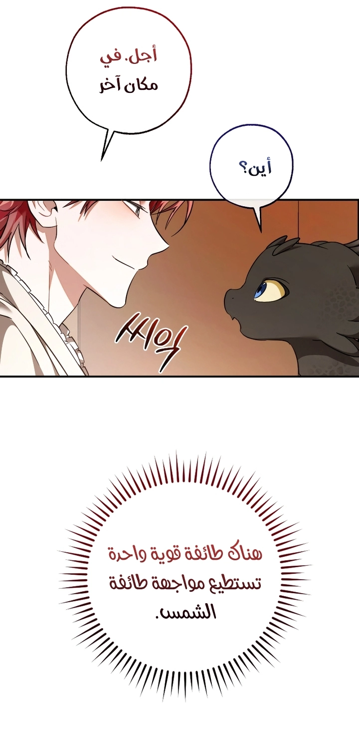 صفحة 6
