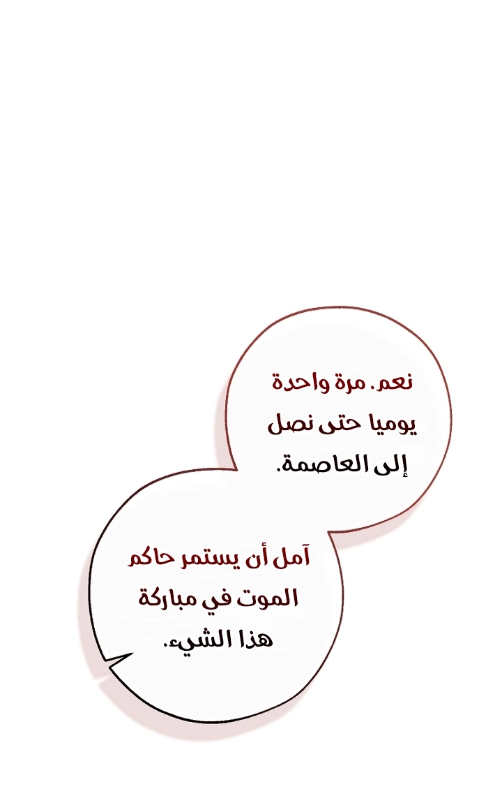 صفحة 13