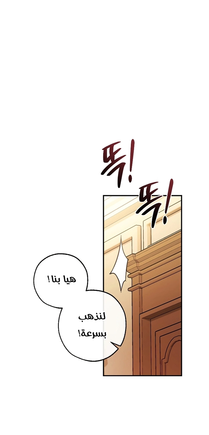 صفحة 16