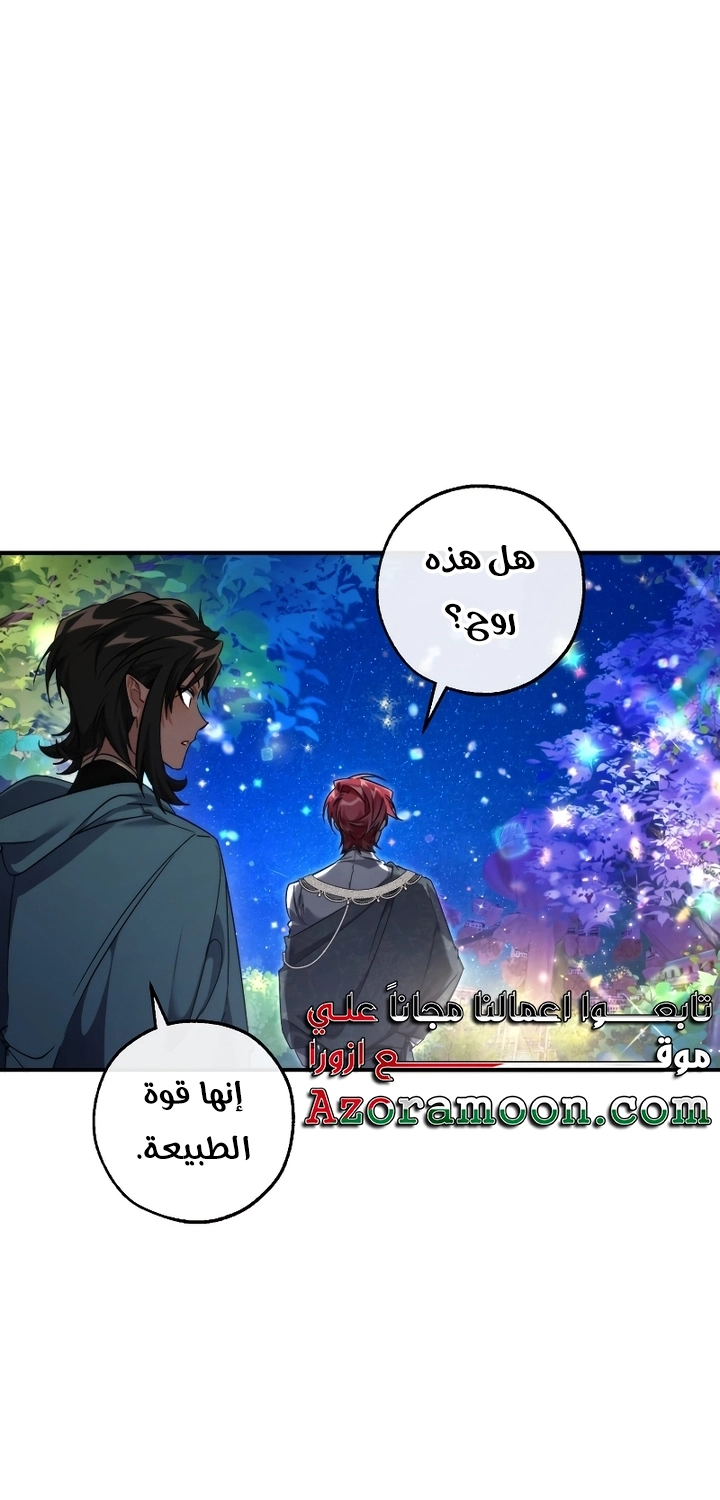 صفحة 13