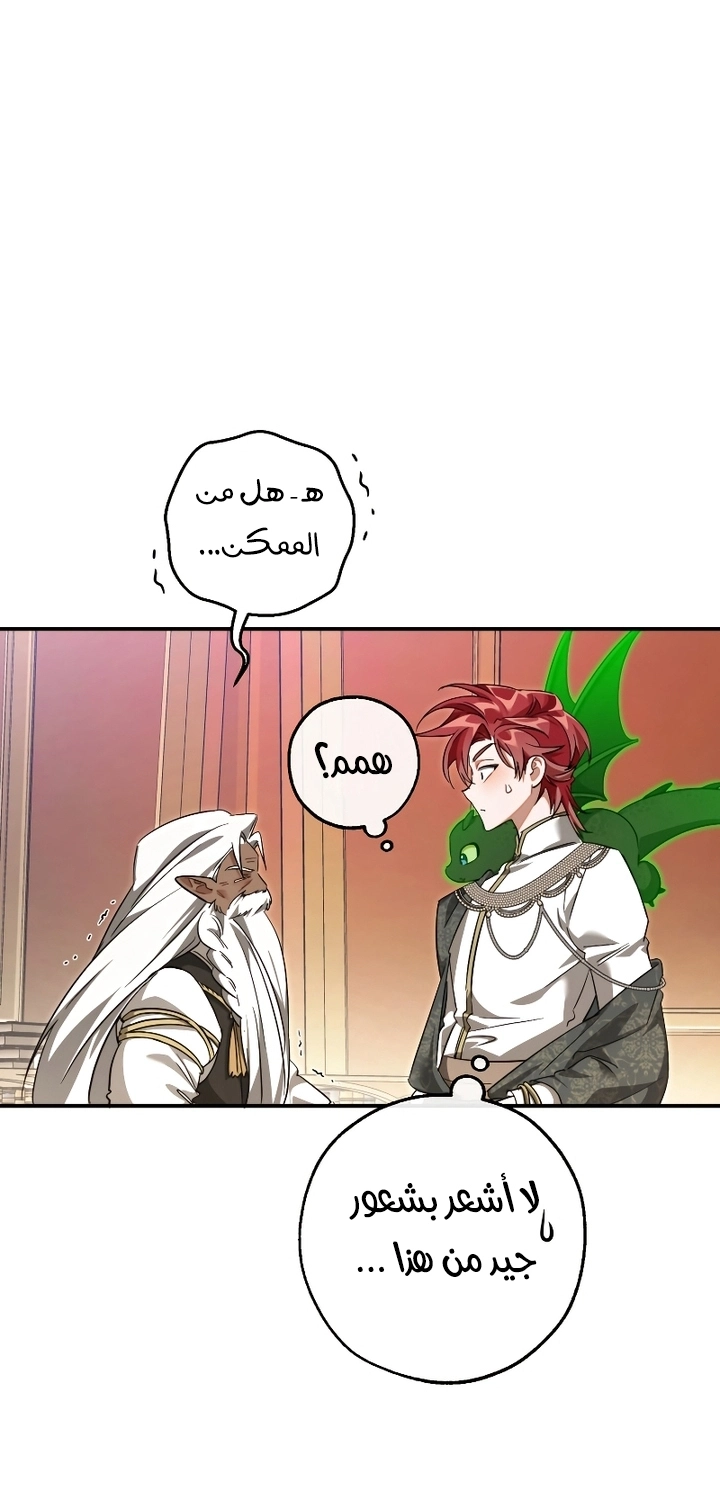 صفحة 43