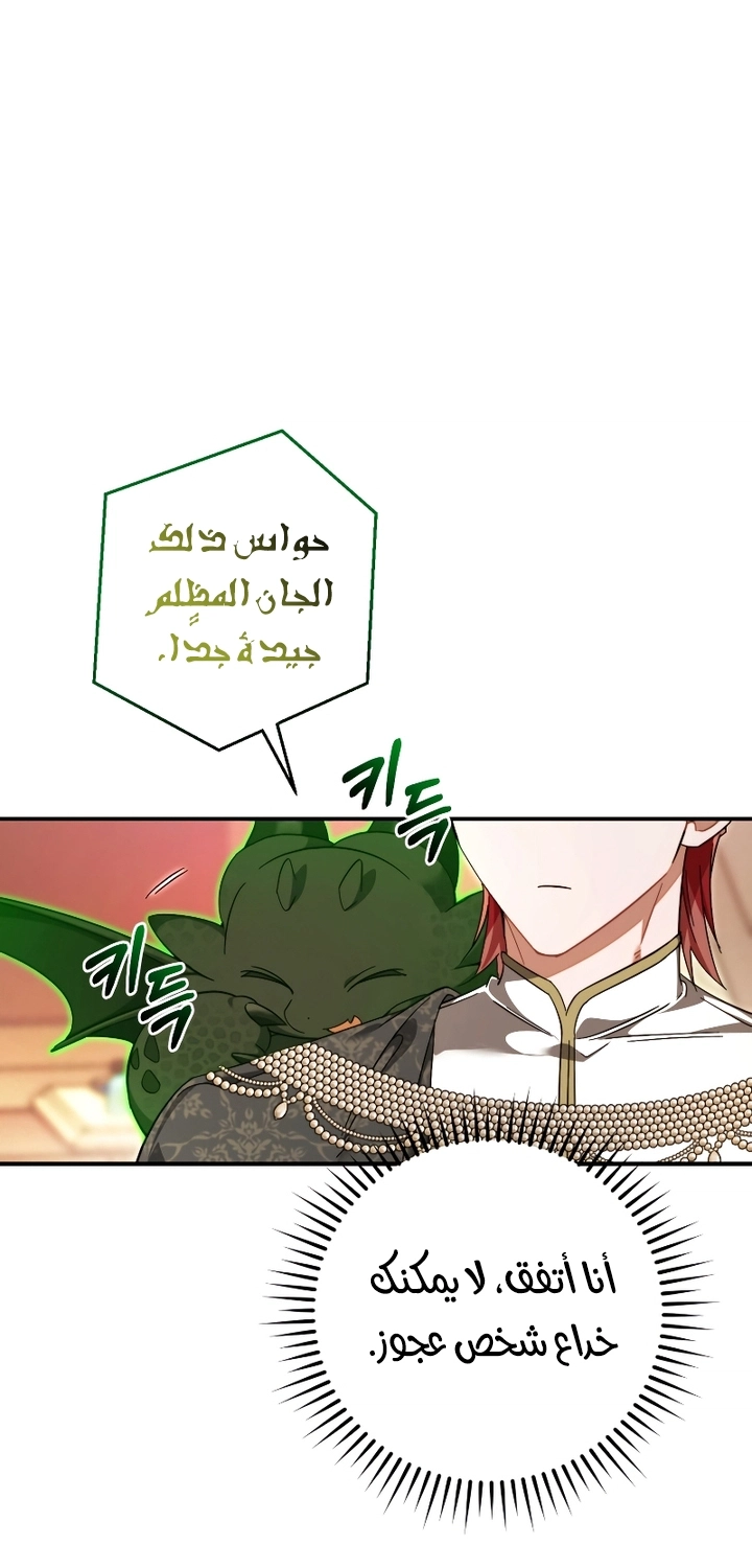 صفحة 46