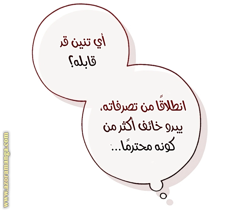 صفحة 13