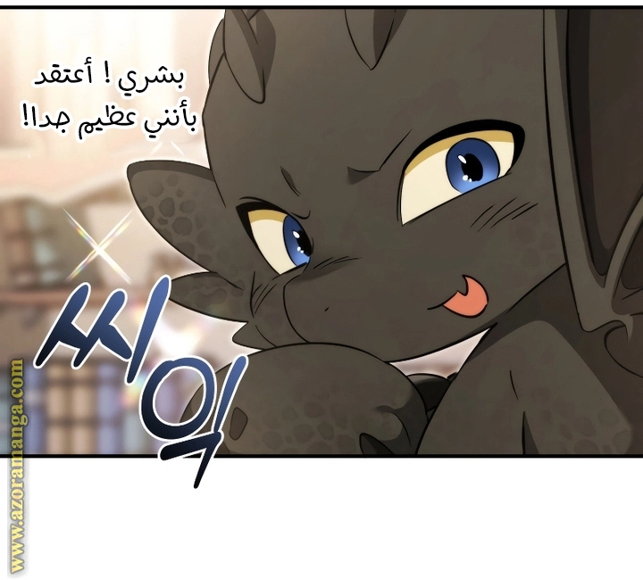 صفحة 17
