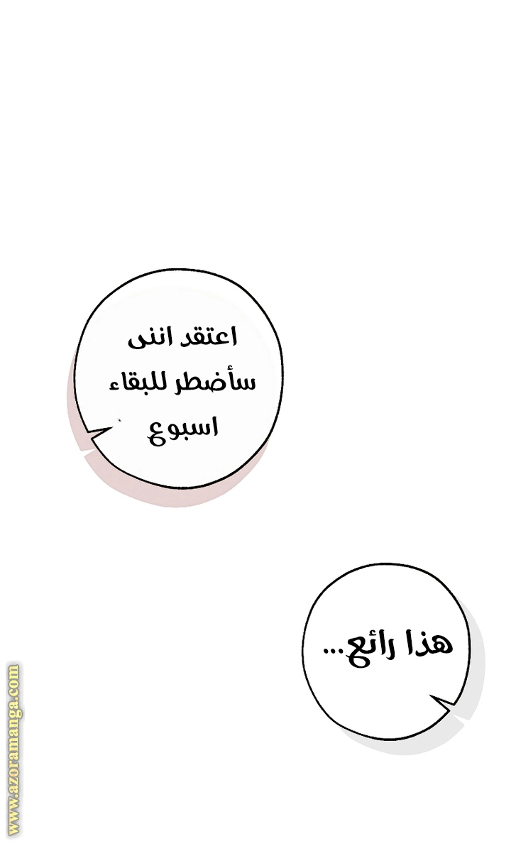 صفحة 46