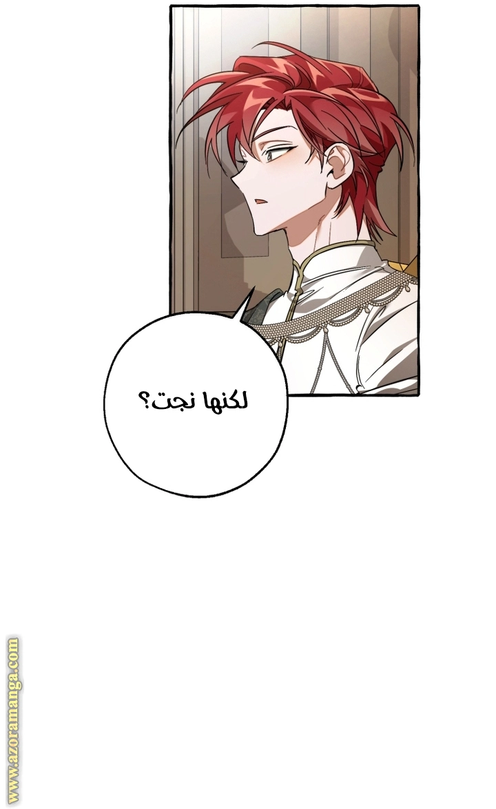 صفحة 17