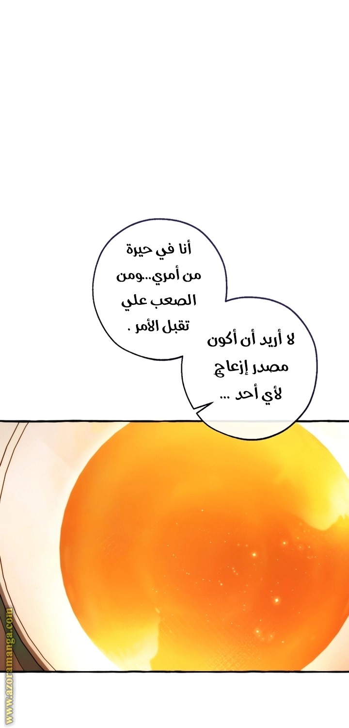 صفحة 29