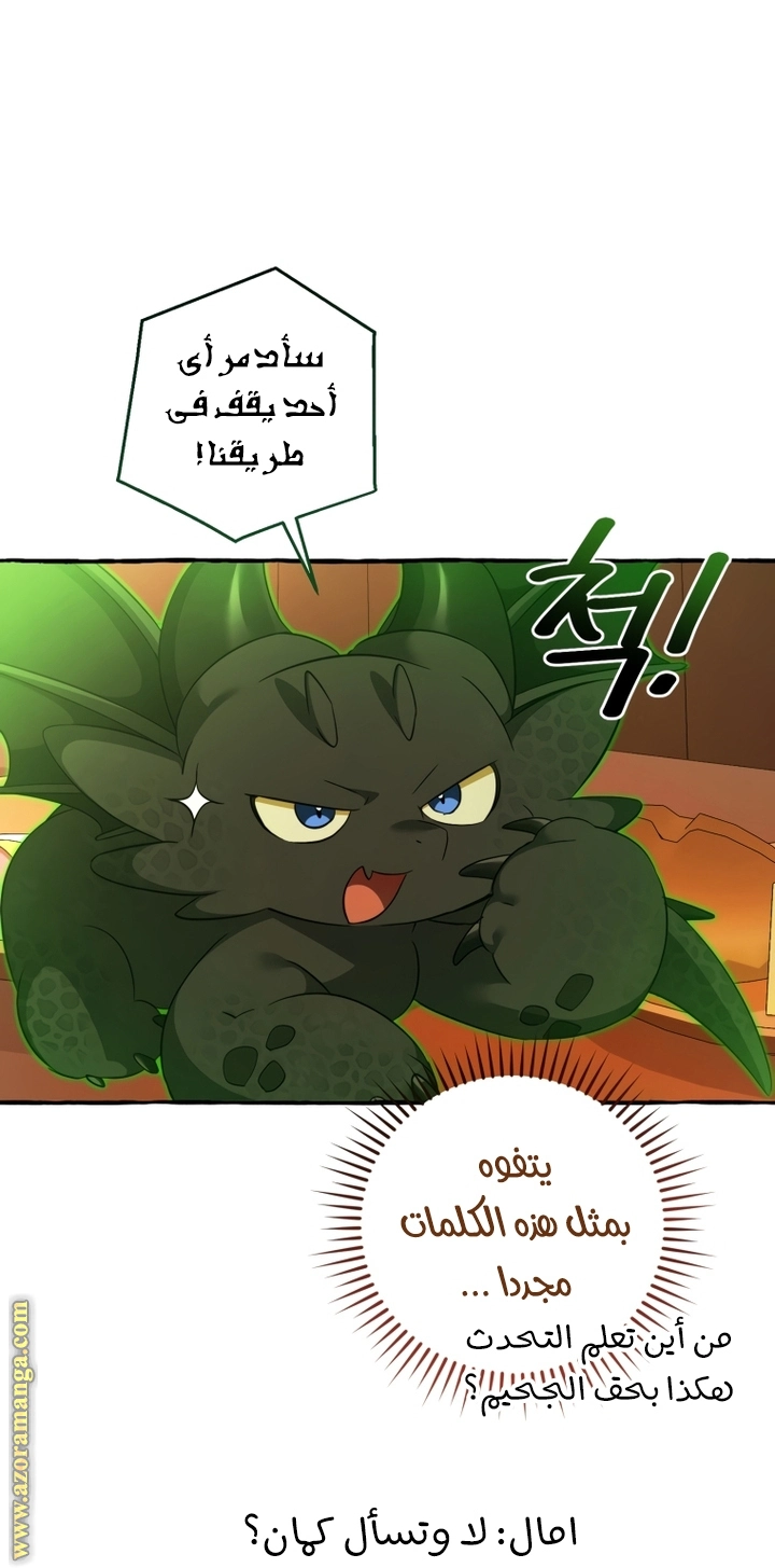صفحة 31