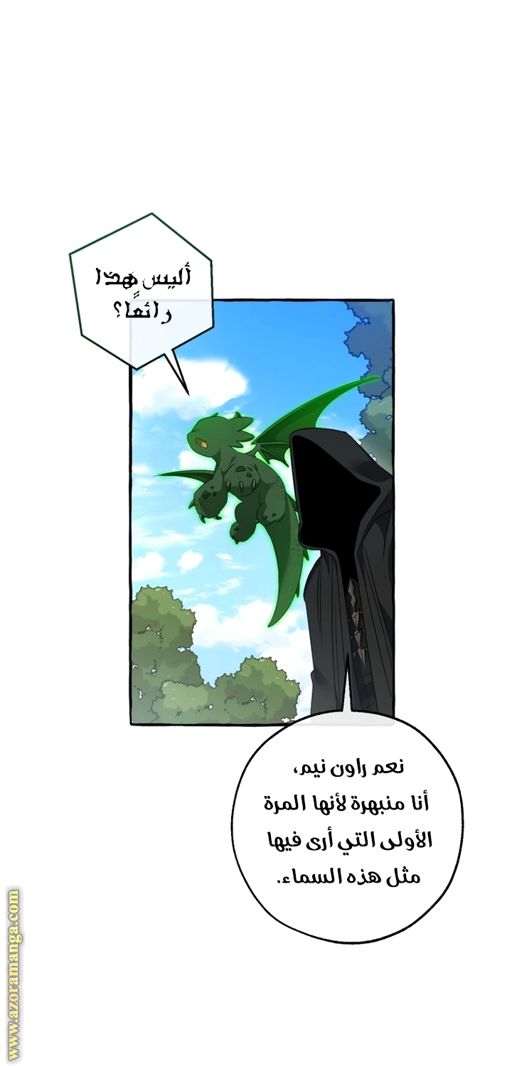 صفحة 45