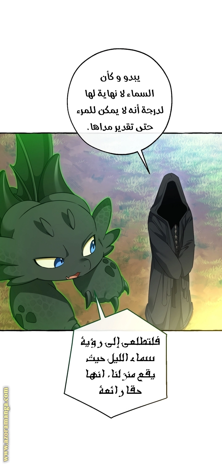 صفحة 46