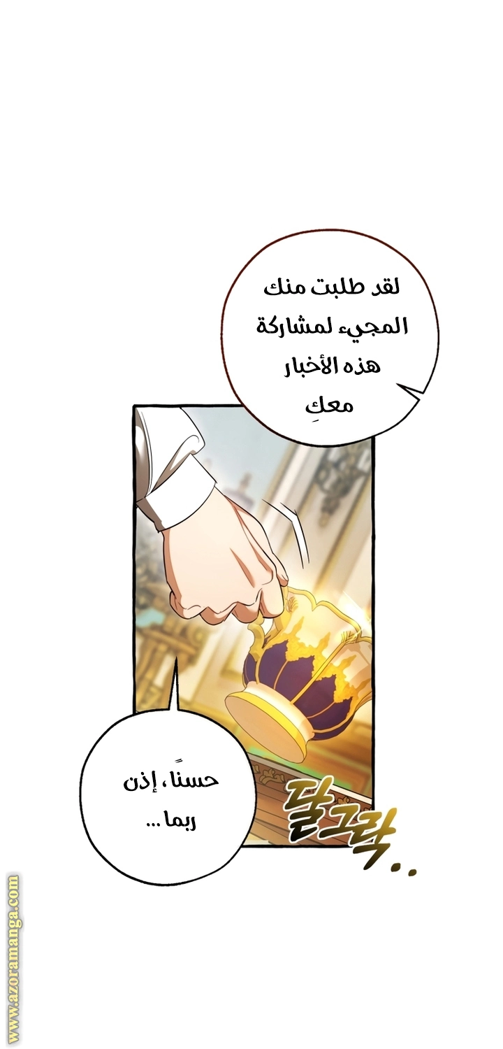 صفحة 17