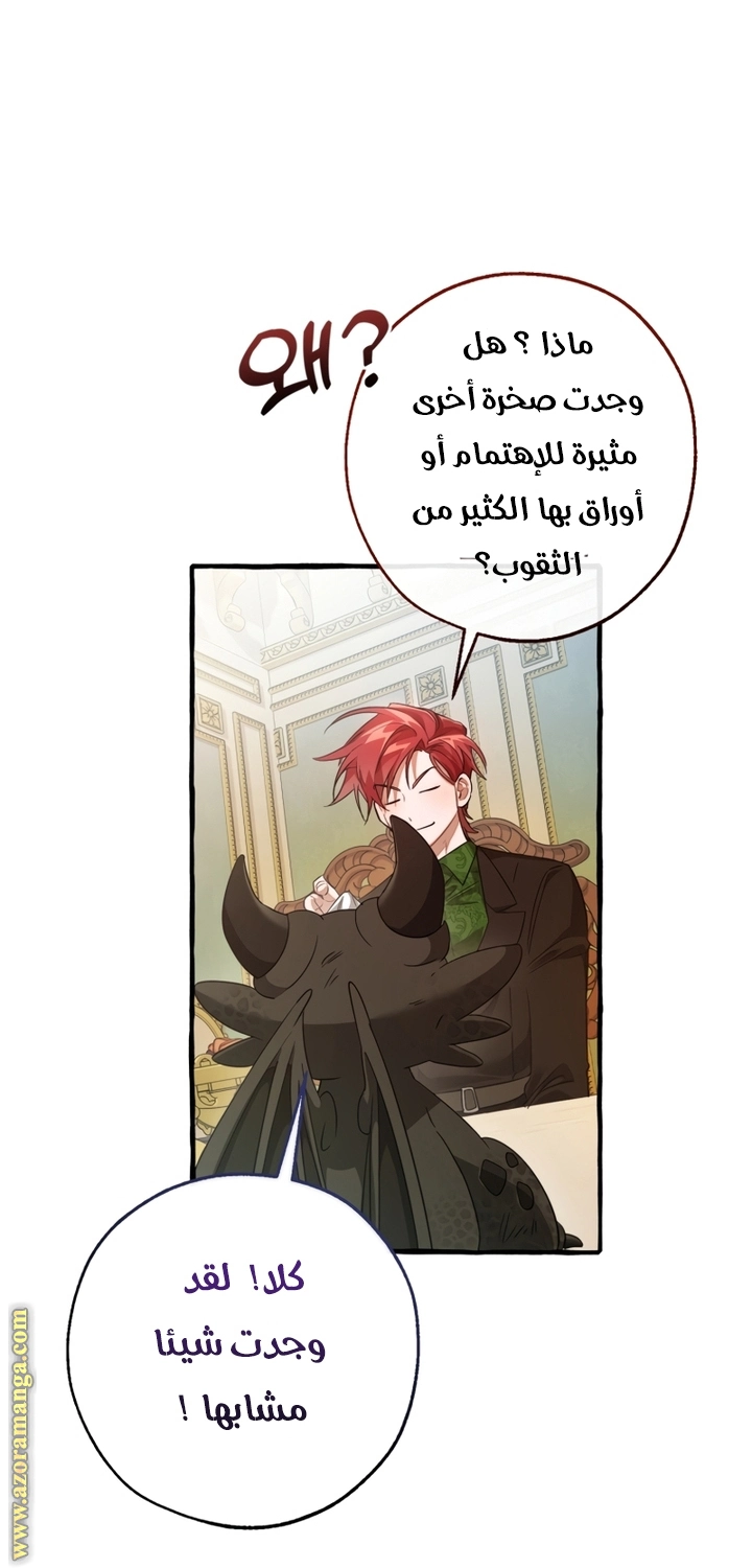 صفحة 29