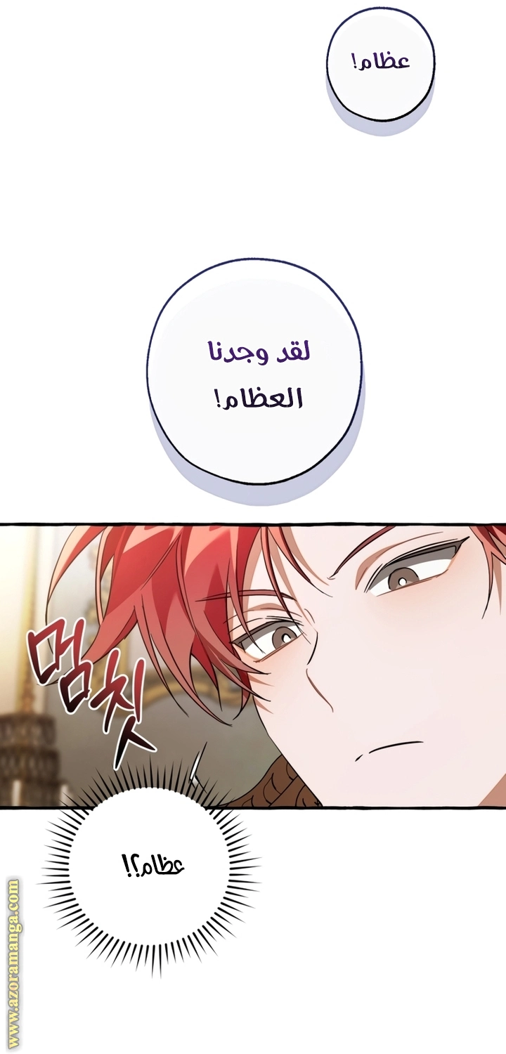 صفحة 31