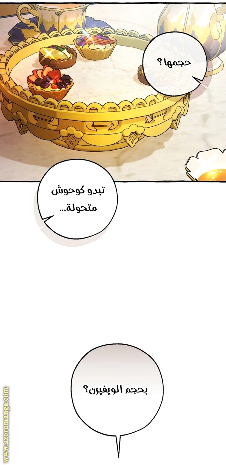 صفحة 41