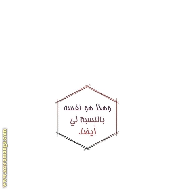 صفحة 17