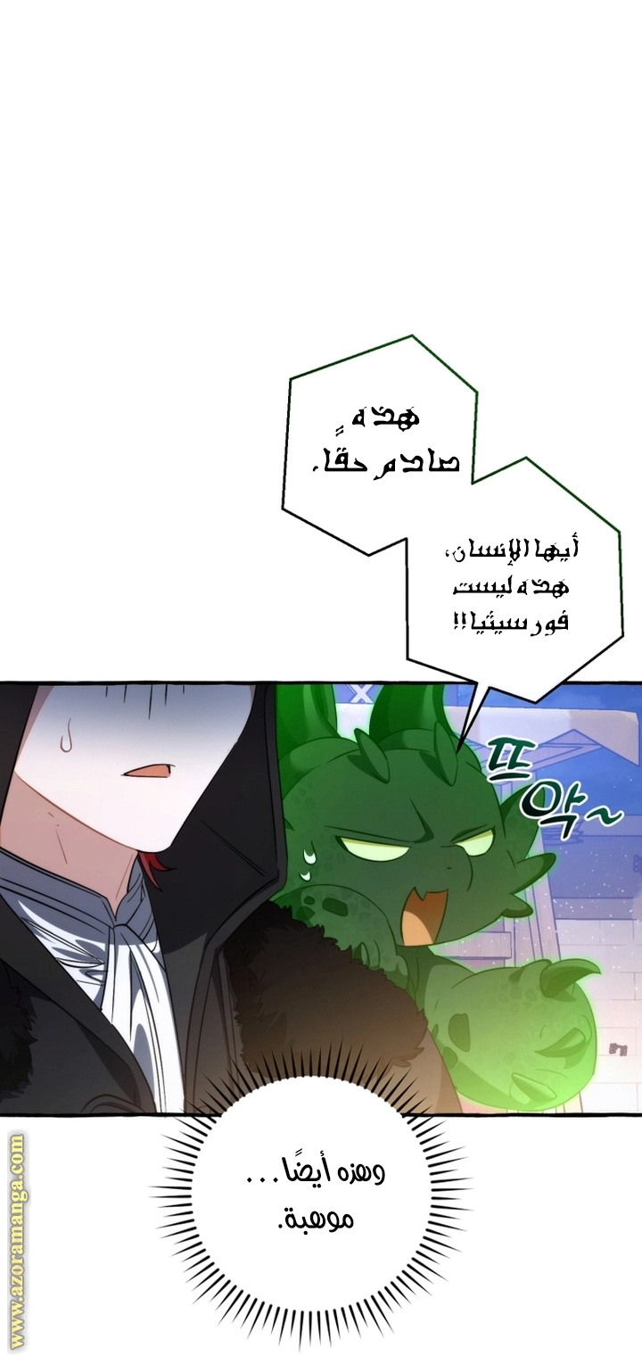 صفحة 51