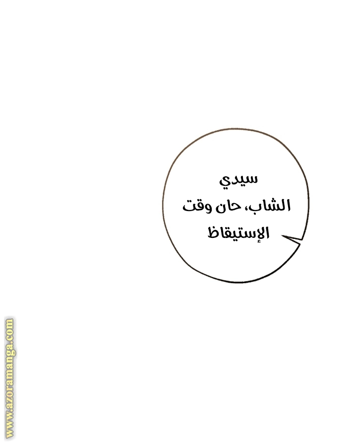 صفحة 27