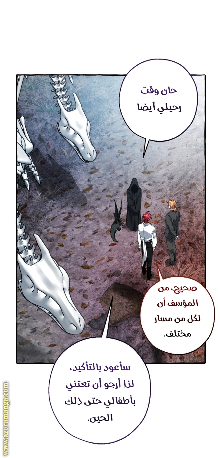 صفحة 41