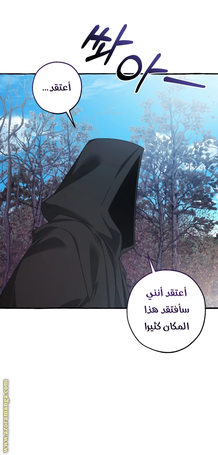 صفحة 42
