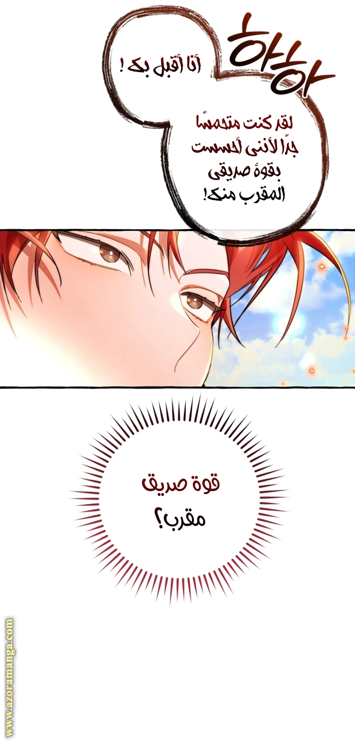 صفحة 31