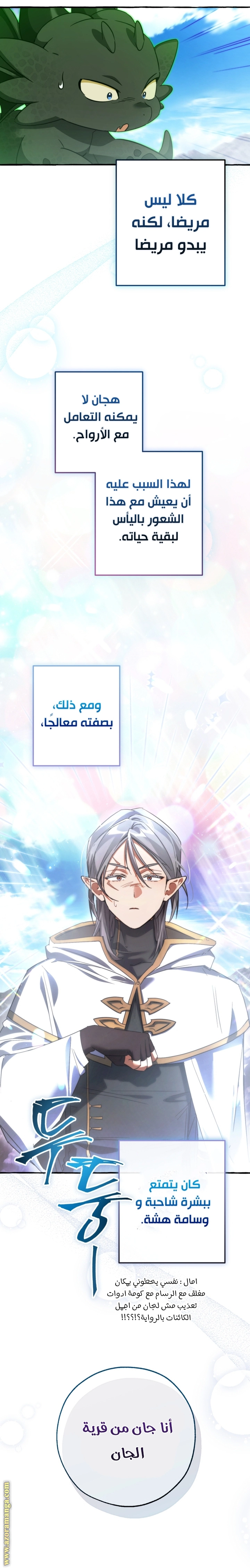 صفحة 17