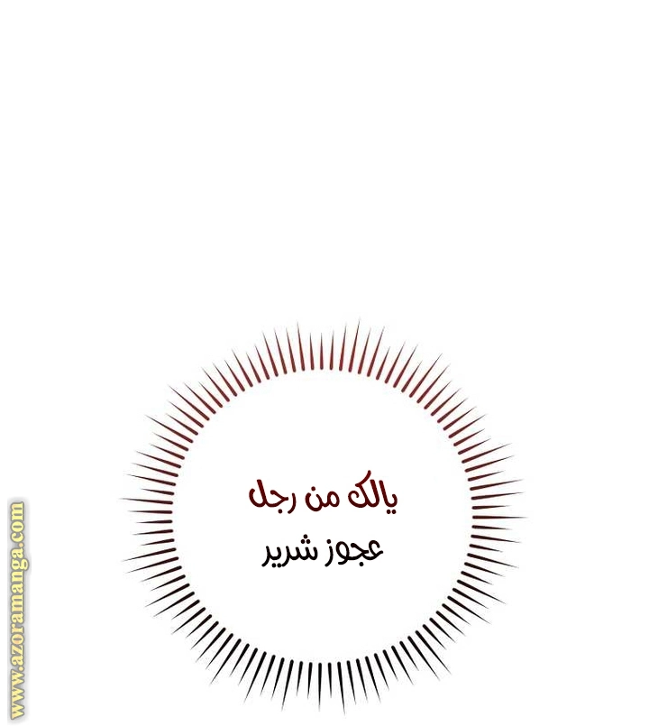 صفحة 13