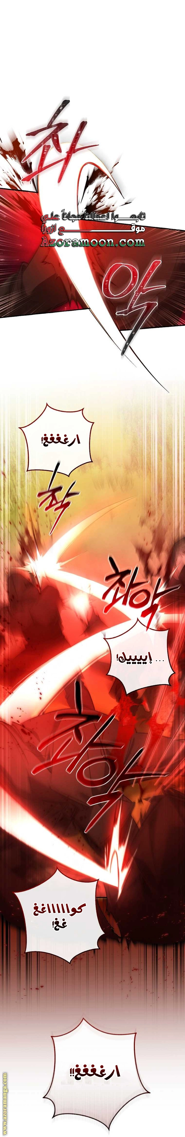 صفحة 17