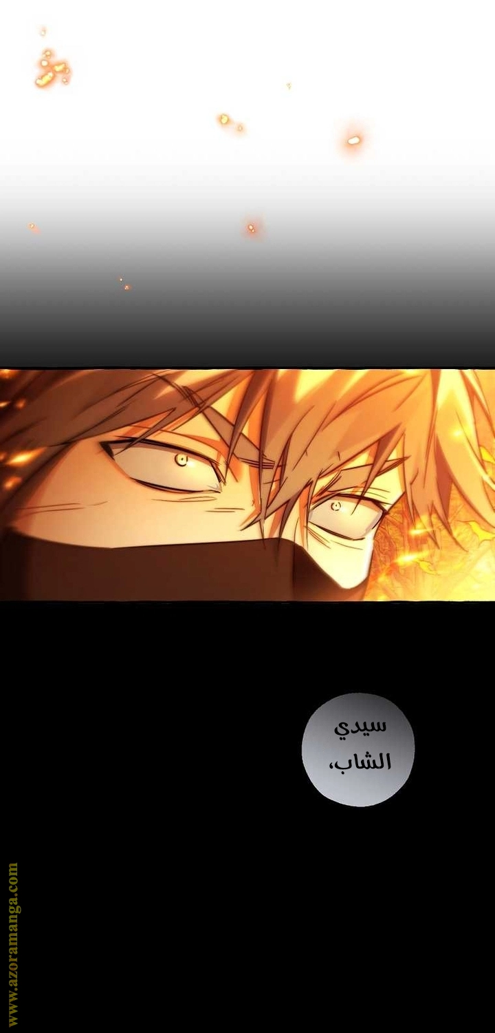 صفحة 29