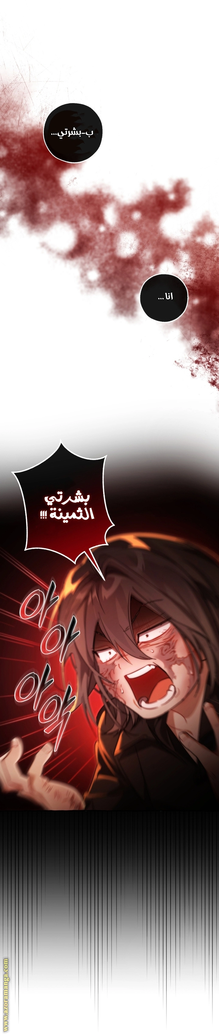 صفحة 11