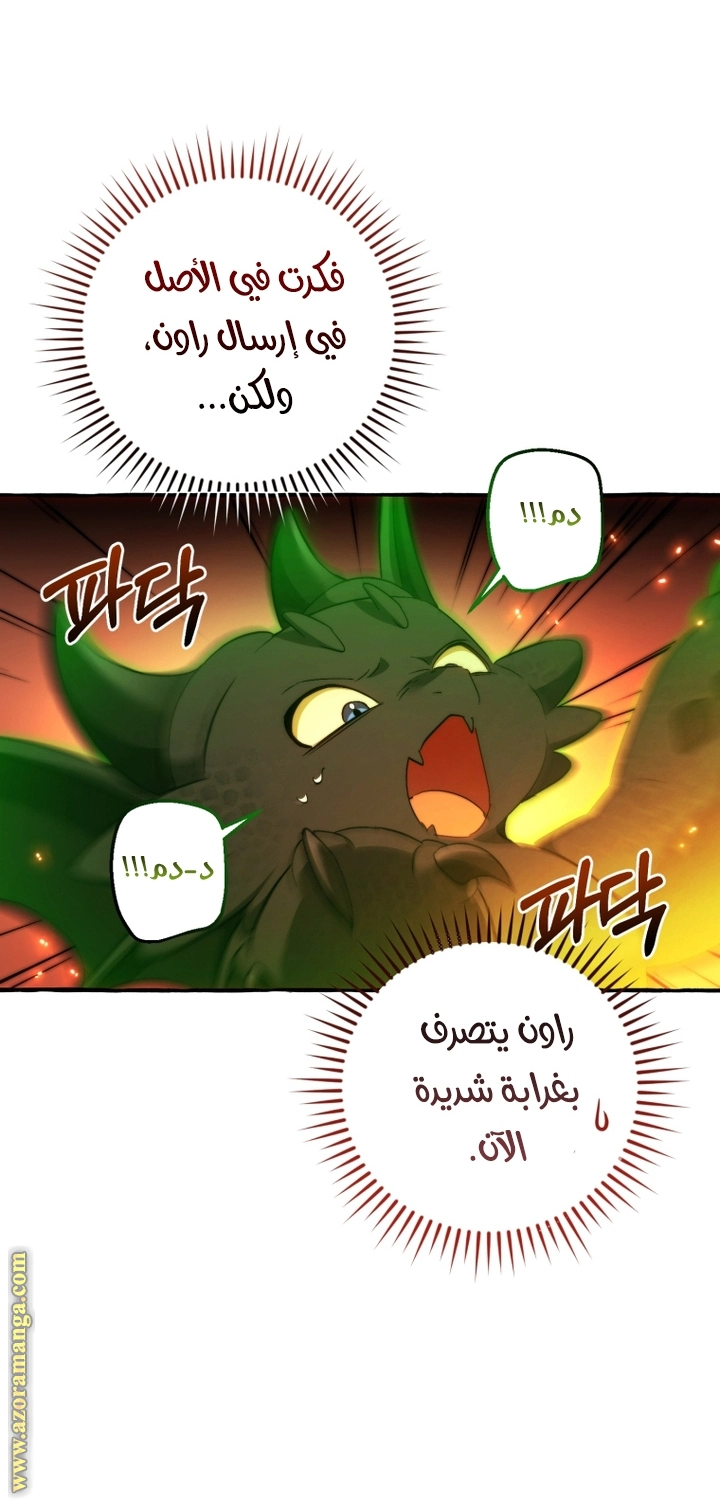 صفحة 24